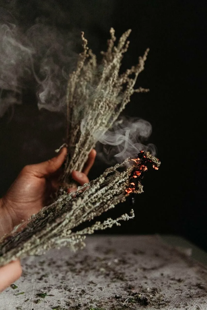 МОЛЬФАРКА ВАРВАРА